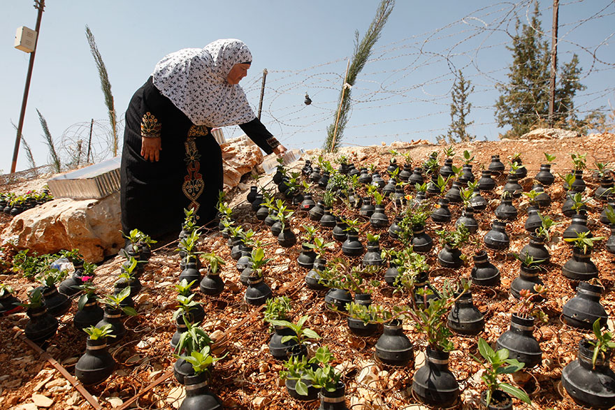 tear-gas-flower-pots-palestine-1.jpg