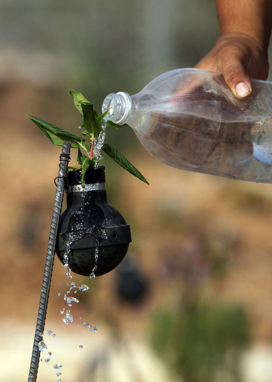 tear-gas-flower-pots-palestine-6.jpg