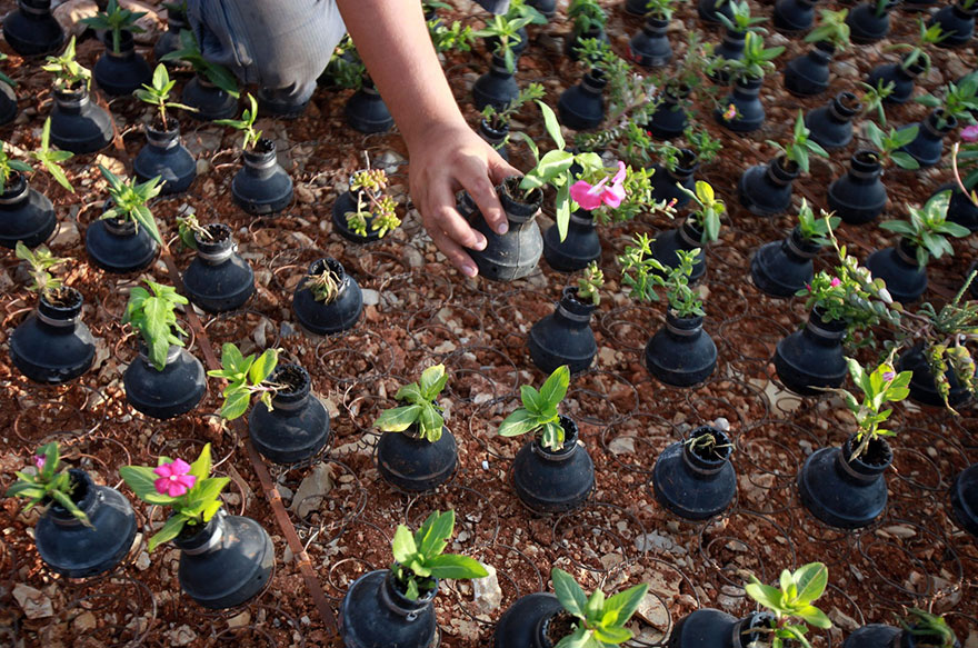tear-gas-flower-pots-palestine-7.jpg